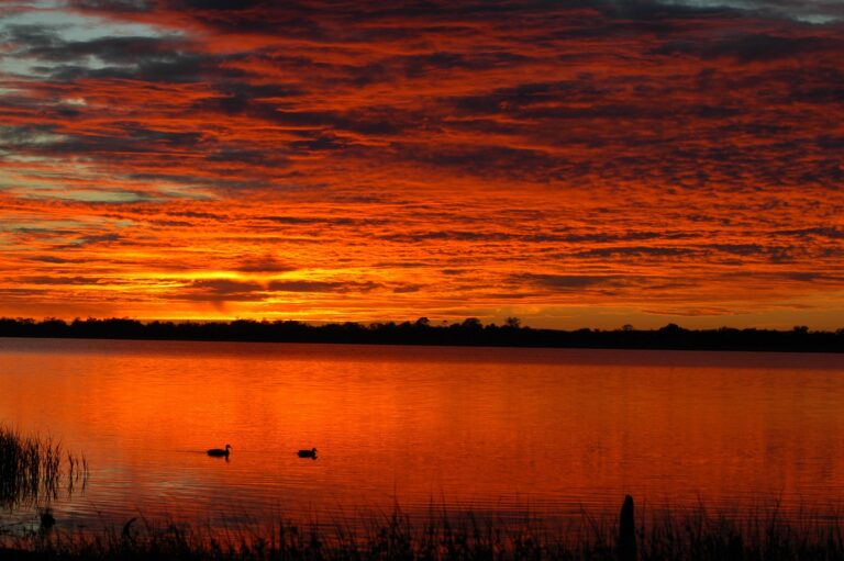 Lake Cargelligo