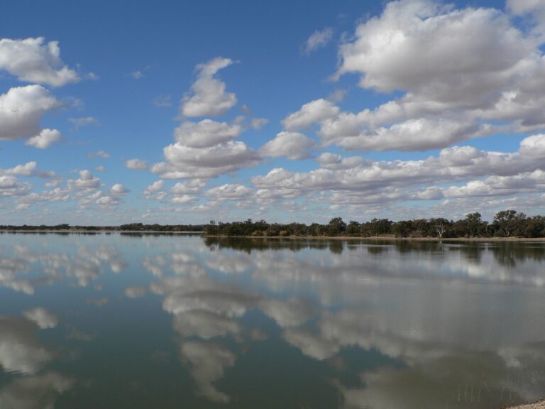The Lake