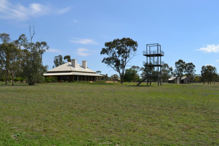 The observation tower is a great way to see the surroundings, and for bird watchers and star gazers