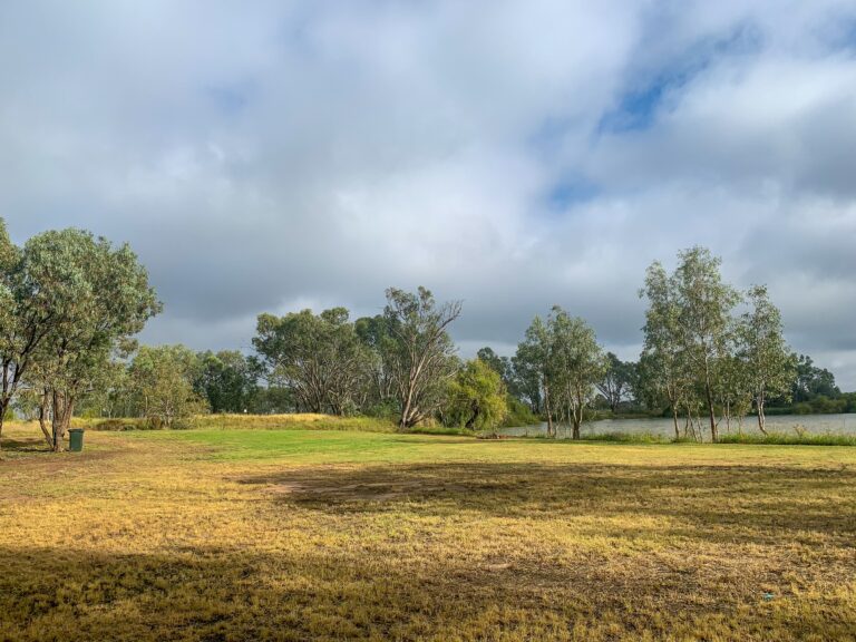 Curlew Camp