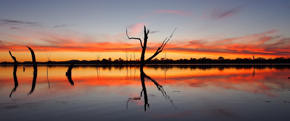 Lake Cargelligo