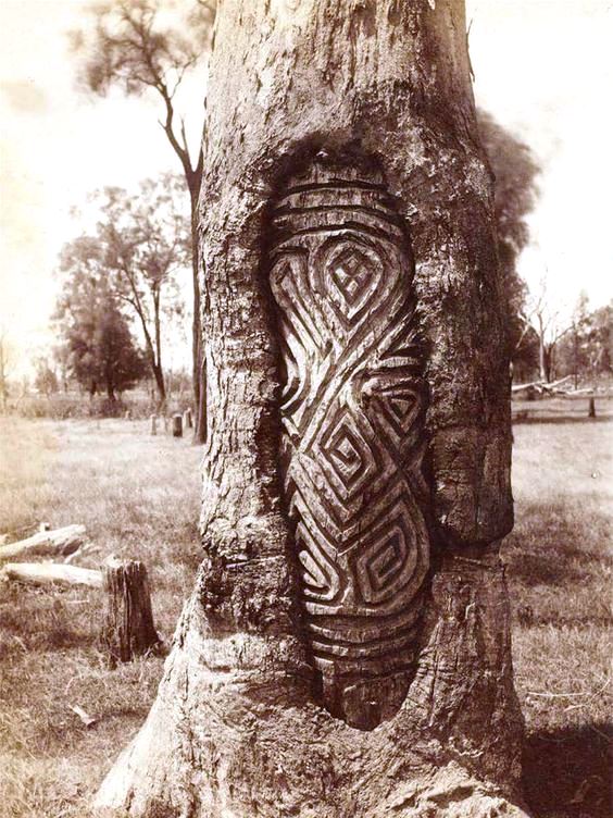 Indigenous Carved tree