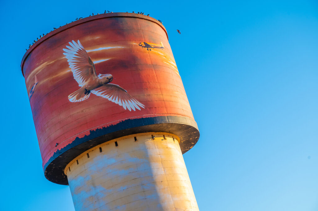 Water Tower Art - Lake Cargelligo