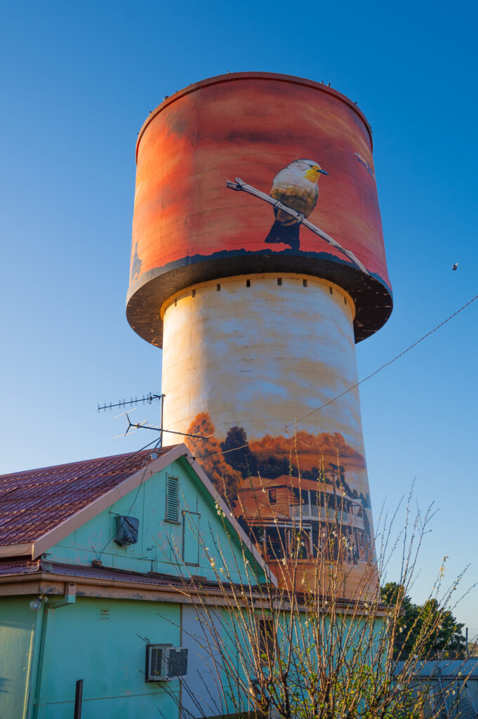 Water Tower Art - Lake Cargelligo