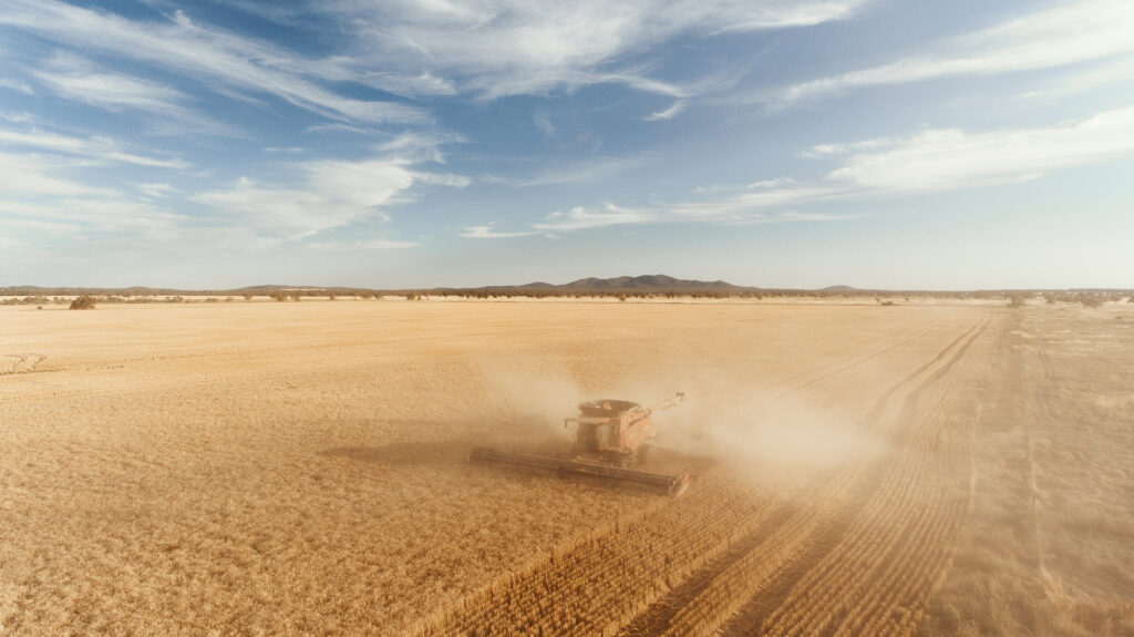 Harvester on farm Condobolin