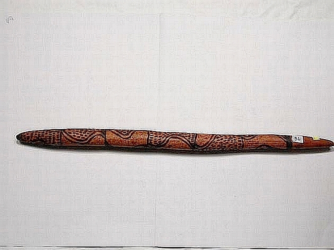 Indigenous Tool Digging Stick