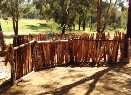 Windbreak - Types of Shelter