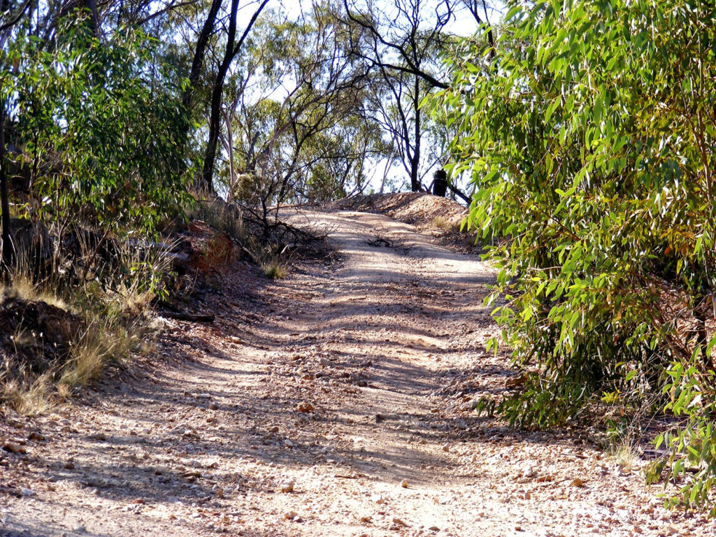 Views from My Tilga and summit walk