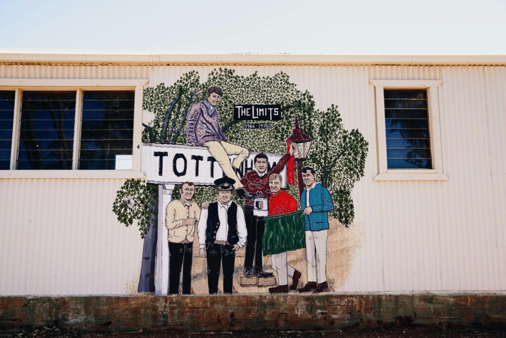 Tottenham - our town